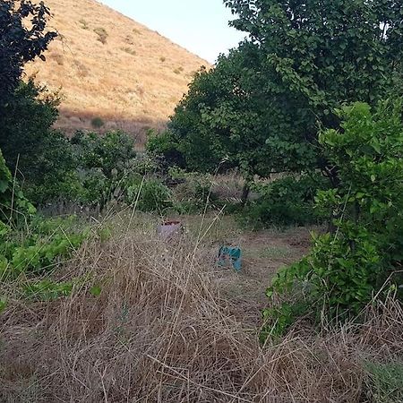 Dhriopís Κυθνος Δρυοπίδα, Στούντιο Χατζήςヴィラ エクステリア 写真