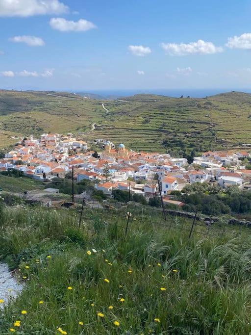 Dhriopís Κυθνος Δρυοπίδα, Στούντιο Χατζήςヴィラ エクステリア 写真