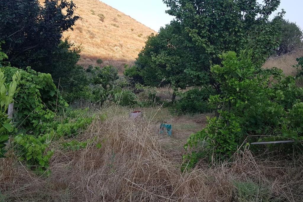 Dhriopís Κυθνος Δρυοπίδα, Στούντιο Χατζήςヴィラ エクステリア 写真